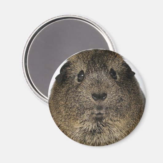 Guinea Nah Magnet (Vorderseite/Rückseite)