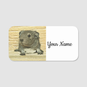 Guinea Namensschild