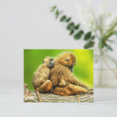 Guinea-Paviane Postkarte (Stehend Vorderseite)