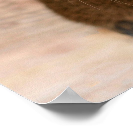 Guinea Pig Angel Poster (Ecke)