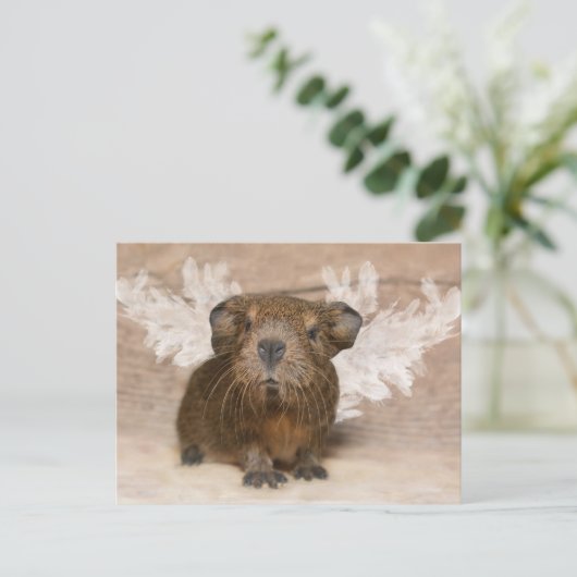 Guinea Pig Angel Postkarte (Stehend Vorderseite)