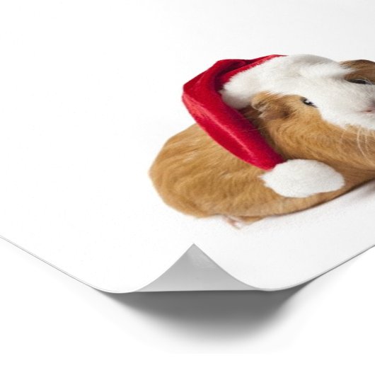 Guinea Pig Art Poster (Ecke)