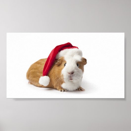 Guinea Pig Art Poster (Vorne)