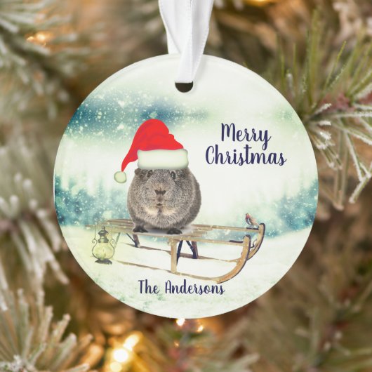 Guinea Pig auf einem Schlitten Weihnachtsschmuck Ornament (Baum)