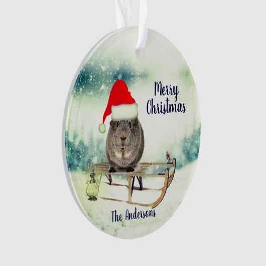 Guinea Pig auf einem Schlitten Weihnachtsschmuck Ornament (Vorderseite)