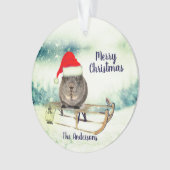 Guinea Pig auf einem Schlitten Weihnachtsschmuck Ornament (Vorderseite)
