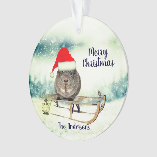 Guinea Pig auf einem Schlitten Weihnachtsschmuck Ornament (Vorderseite)