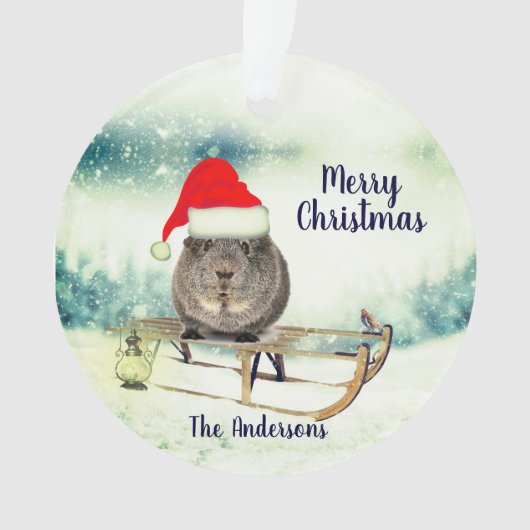 Guinea Pig auf einem Schlitten Weihnachtsschmuck Ornament (Vorderseite)