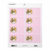 Guinea Pig auf Rosa. (Vorne)