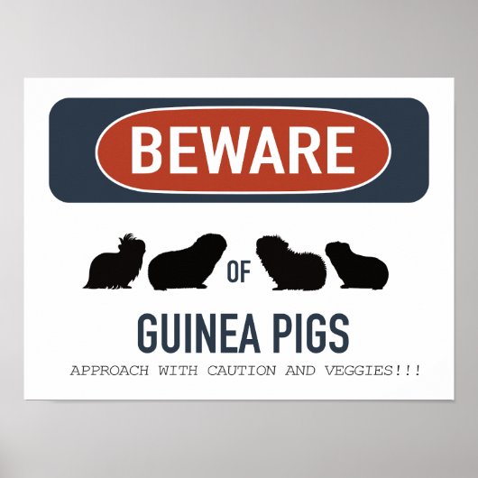 Guinea Pig Beware Poster (Vorne)
