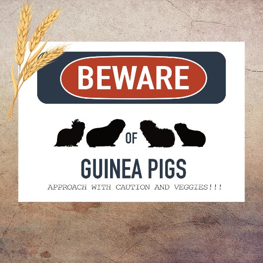 Guinea Pig Beware Poster