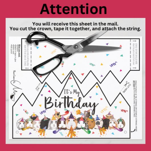 Guinea Pig Birthday Crown