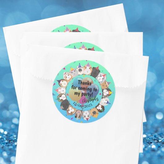 Guinea Pig Birthday Danke Runder Aufkleber