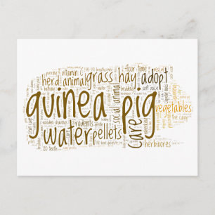 Guinea Pig Care Tips Word Cloud Postkarte