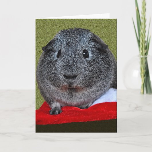 Guinea Pig Christmas Feiertagskarte (Vorderseite)