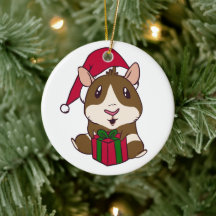 Guinea Pig Christmas Holiday