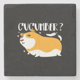 Guinea Pig Cucumber NIEDLICHE GUINEA Cooles Ti Steinuntersetzer