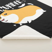 Guinea Pig Cucumber Sherpadecke (3/4)