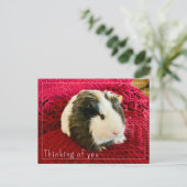 Guinea Pig Denken Sie an Sie Postkarte bearbeiten (Stehend Vorderseite)