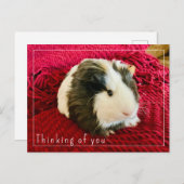 Guinea Pig Denken Sie an Sie Postkarte bearbeiten (Vorne/Hinten)