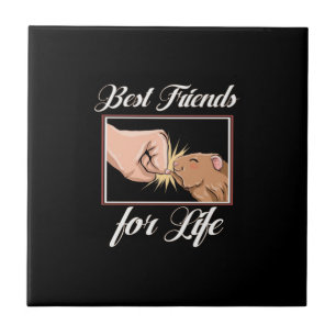 Guinea Pig die besten Lebensfreunde Niedlicher H Fliese