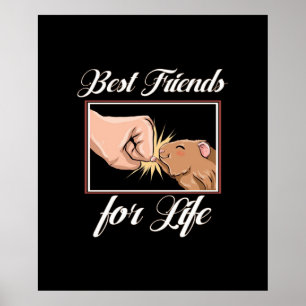 Guinea Pig die besten Lebensfreunde   Niedlicher H Poster
