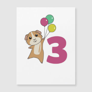 Guinea Pig Dritter Geburtstag Balloons Magnetkarte