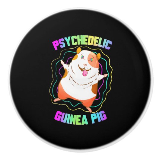 Guinea Pig EDM Party Keramikknauf (Vorderseite)