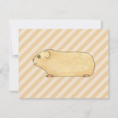 Guinea Pig. Einladung (Rückseite)