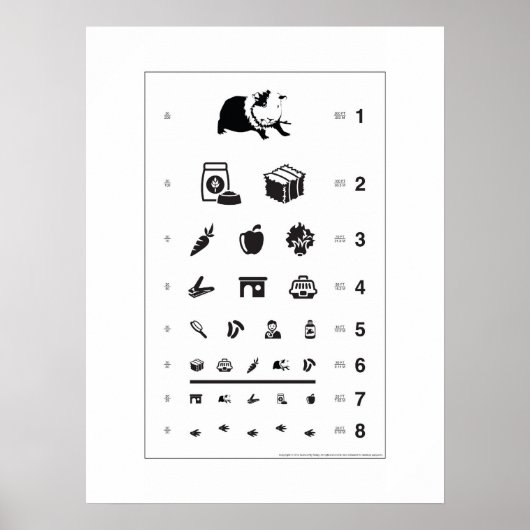 Guinea Pig Eye Chart Poster (Vorne)