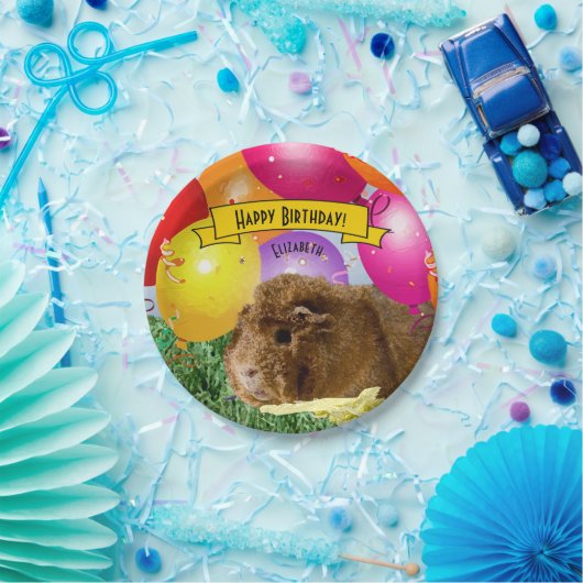Guinea Pig farbenfrohe Balloons Custom Party Pappteller (Party)