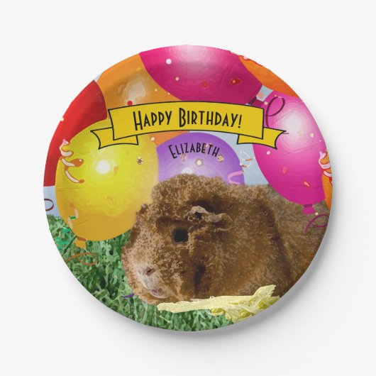 Guinea Pig farbenfrohe Balloons Custom Party Pappteller (Vorderseite)