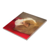 Guinea Pig Fliese (Seite)