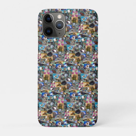 Guinea Pig Foto Collage, iPhone 11 Fall Case-Mate iPhone Hülle (Rückseite)