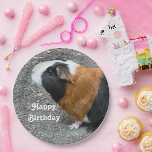 Guinea Pig Foto Geburtstag Pappteller (Party)