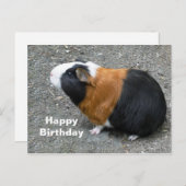 Guinea Pig Foto Geburtstag Postkarte (Vorne/Hinten)