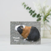 Guinea Pig Foto Vielen Dank Postkarte (Stehend Vorderseite)