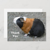 Guinea Pig Foto Vielen Dank Postkarte (Vorne/Hinten)
