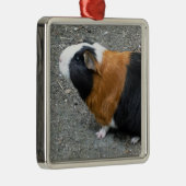 Guinea Pig Foto Weihnachten Ornament Aus Metall (Rechts)