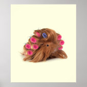 Guinea Pig | Funny Curly Guinea Pig Lover Geschenk Poster (Vorne)