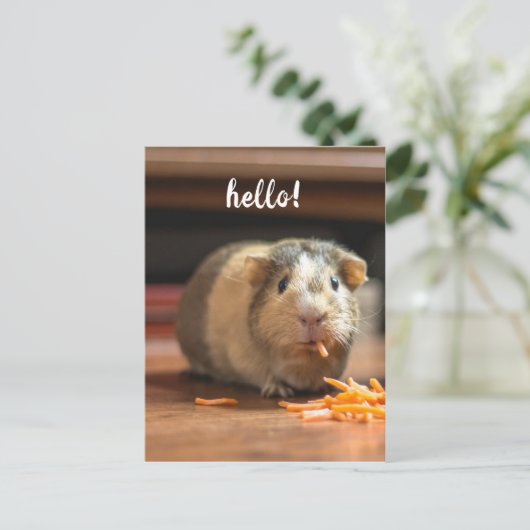Guinea Pig Funny Hello Postkarte (Stehend Vorderseite)