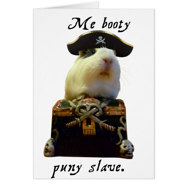 Guinea Pig Funny Pirate (Vorne)