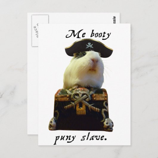 Guinea Pig Funny Pirate Postkarte (Vorne/Hinten)