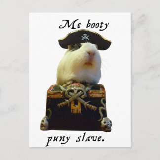Guinea Pig Funny Pirate Postkarte