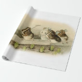 "Guinea Pig Garden" von Beatrix Potter Geschenkpapier (Ungerollt)