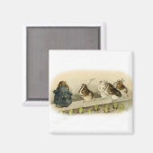 "Guinea Pig Garden" von Beatrix Potter Magnet (Vorderseite/Rückseite)