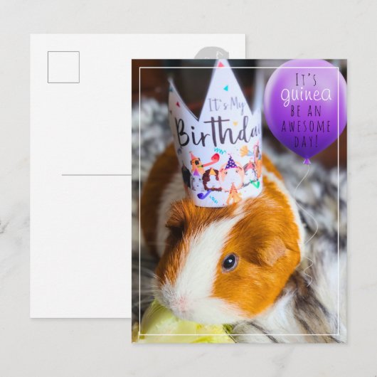 Guinea Pig Geburtstag Postkarte (Vorne/Hinten)