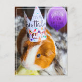 Guinea Pig Geburtstag Postkarte (Vorderseite)