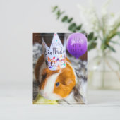Guinea Pig Geburtstag Postkarte (Stehend Vorderseite)