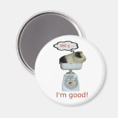 Guinea Pig Gesundheit Magnet (Vorderseite/Rückseite)